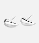 Drop Earrings in Rhodium Plating on 925 Silver - Ash & Harry