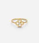 Lucky Clover Full Set in Gold - 4 Items - Ash & Harry