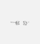 Stella Studs in Rhodium Plating on 925 Silver - Ash & Harry