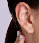 Ball Studs in 18k Gold Plating on 925 Silver - Ash & Harry