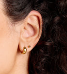 Bold Huggie Hoops in 18k Gold Plating on 925 Silver - Ash & Harry
