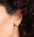 Classic Huggie Hoops in 18k Gold Plating on 925 Silver - Ash & Harry