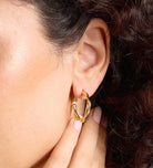Twisted Hoop Earrings in 18k Gold Plating on 925 Silver - Ash & Harry