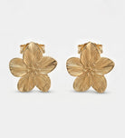 Gold Petal Earrings - Ash & Harry